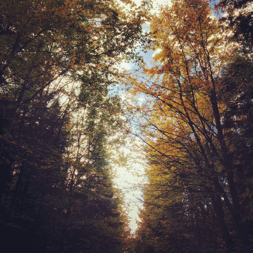 2013-11-09 15.30.16-2