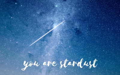 You are stardust