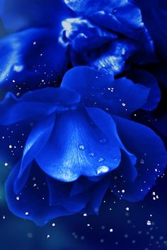 9015d3cd050736ecb39fe2657f595585