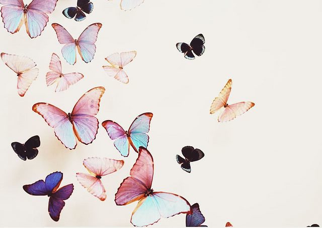 c7b7c7ae0617db9f3251269b2084b4ac