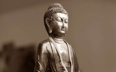 Weight Cycling Co-Dependency and How to Surrender
