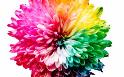 6 Imperatives on Your Path to Body-Confidence
