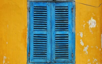 The Woman in the Window