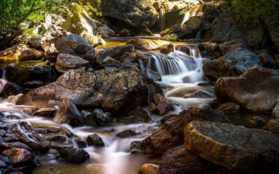Your Soul is a River