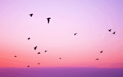 Embodying Who You Are: From ‘I Am Not Enough’ to Simply ‘I Am’